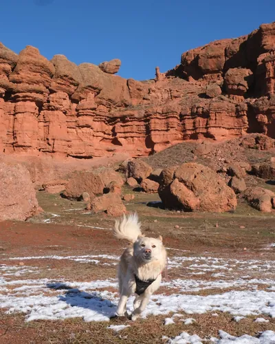 nala