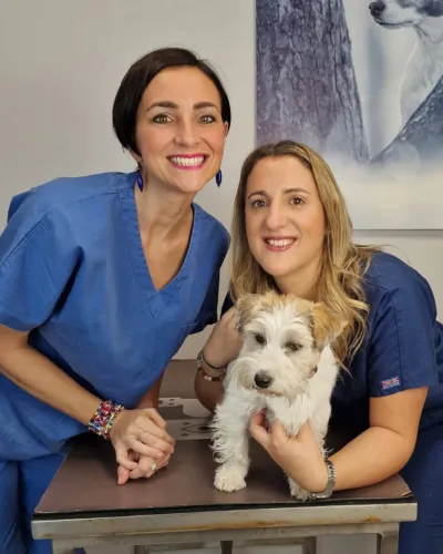 valentina chiapatti amica veterinaria