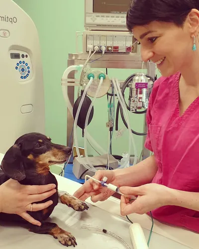 valentina chiapatti amica veterinaria
