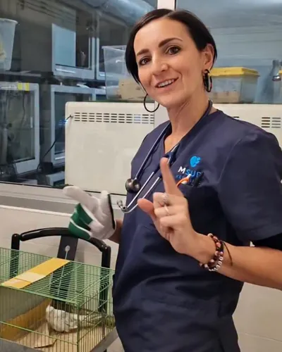 valentina chiapatti amica veterinaria