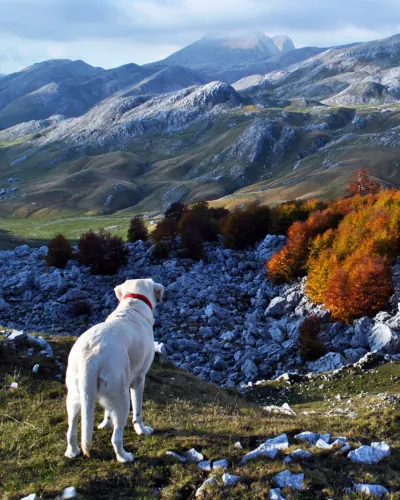 Immagine 2