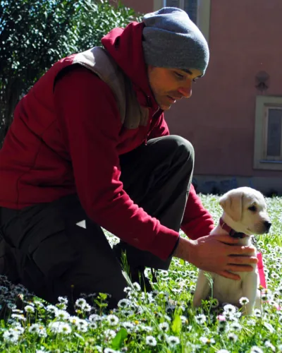 Immagine 7